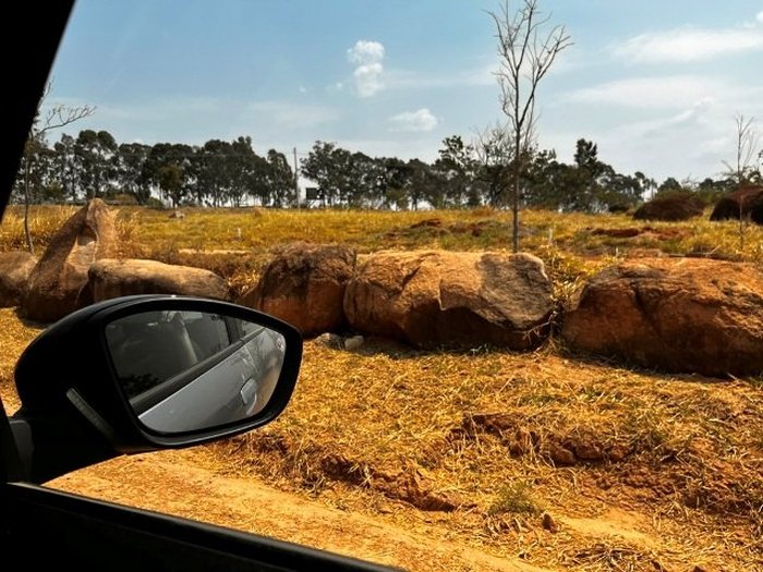 GILBERTO LEAL GILBERTO LEAL