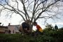 PORTO ALEGRE, RS, BRASIL, 13/08/2023- Pais e filhos plantam árvores. Foto: Anselmo Cunha/Agencia RBS<!-- NICAID(15509288) -->