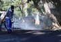 Porto Alegre prevê teste com asfalto-borracha e novas aplicações de asfalto morno na manutenção de vias