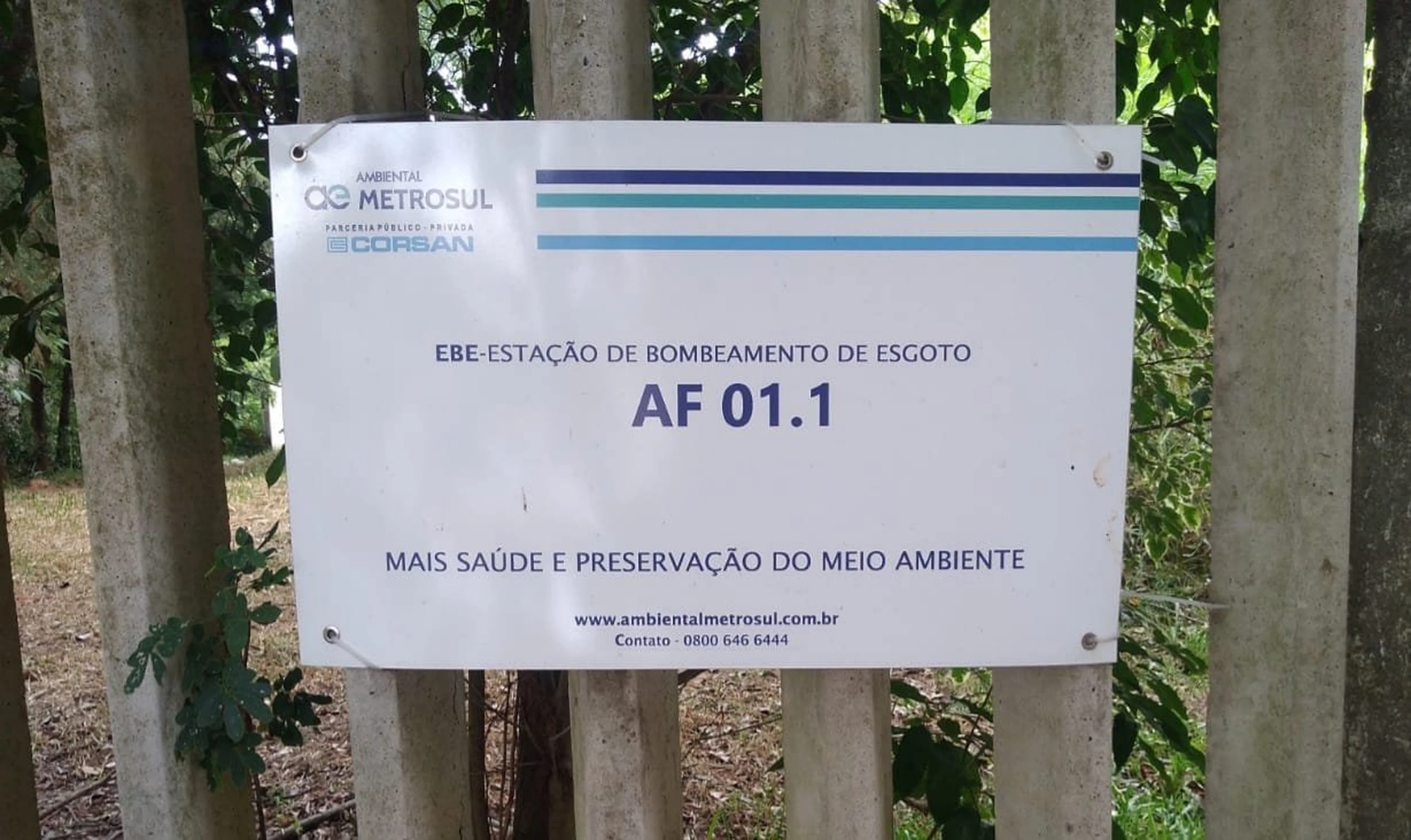 Divulgação/Ambiental Metrosul