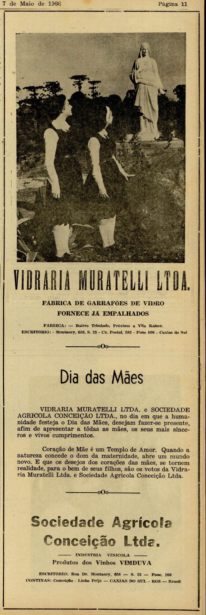 Reprodução
