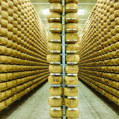 MELHOR QUEIJO PARMESÃO DO BRASIL COMEÇA A SER EXPORTADO PARA A AMÉRICA LATINA <!-- NICAID(15326295) -->