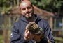 VÍDEO: veterinário faz "amizade" com puma e lagarto em Caxias do Sul