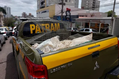 Patrulha ambiental apreende carnes ilegais e itens de caça em residência no Centro de Passo Fundo<!-- NICAID(16166520) -->