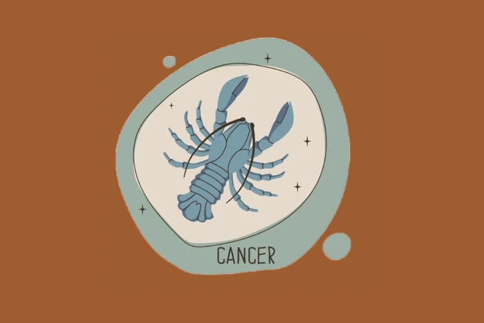 eto100ya / Shutterstock | Portal EdiCase