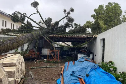 Tempestade em Soledade<!-- NICAID(15898121) -->