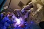 PORTO ALEGRE, RS, BRASIL, 25/10/2023- Cirurgia robótica de próstata no Hospital Moinhos de Vento. Foto: Lauro Alves  / Agencia RBS<!-- NICAID(15578536) -->