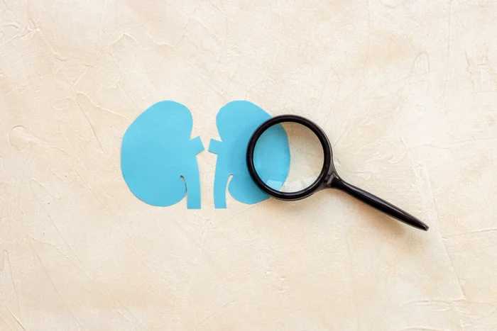 9dream studio / Shutterstock</div>
<div> | Portal EdiCase