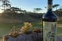 Vinícola Batalha lança vinho para proteger gato palheiro<!-- NICAID(15600837) -->