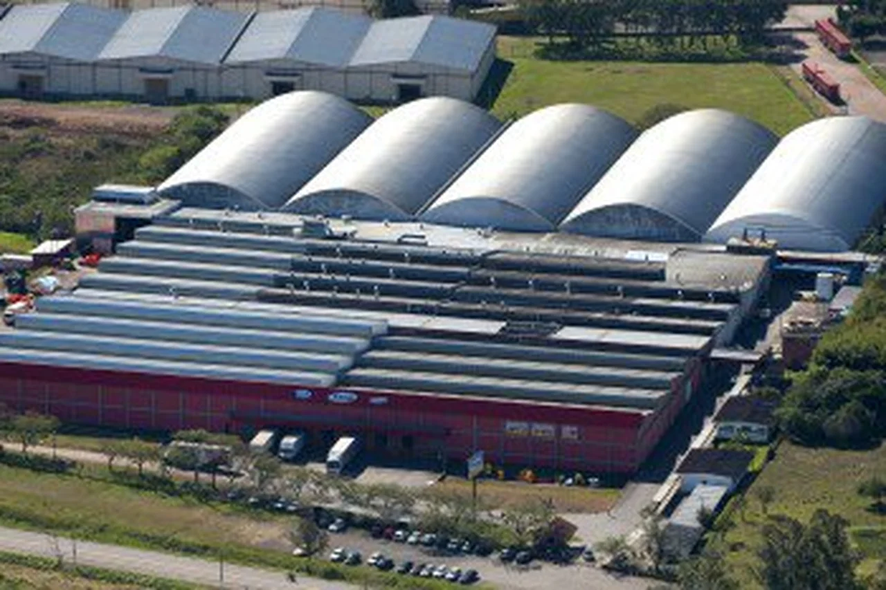 Xalingo/Divulgação