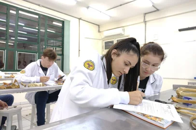 Integrado UPF abre inscrições para bolsas de estudo em cursos técnicos<!-- NICAID(16001490) -->