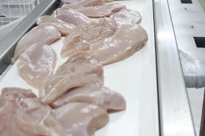 linha de produção de frango<!-- NICAID(11903806) -->