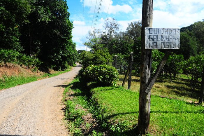 Porthus Junior / Agencia RBS