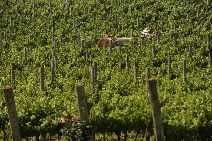 Bruno Todeschini / Agencia RBS