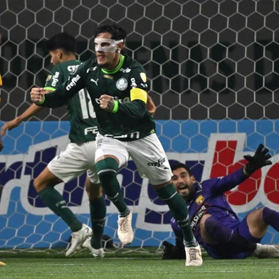 Gustavo Gómez, Palmeiras
