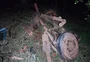 Homem morre após carroça ser atingida por caminhonete na RS-163, em Barra do Guarita