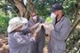 Equipes de fiscalização agropecuária da Secretaria da Agricultura monitoram casos de influenza aviária no RS<!-- NICAID(15441078) -->