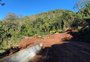 Remoção de barreira da BR-116, em Nova Petrópolis, segue nesta segunda