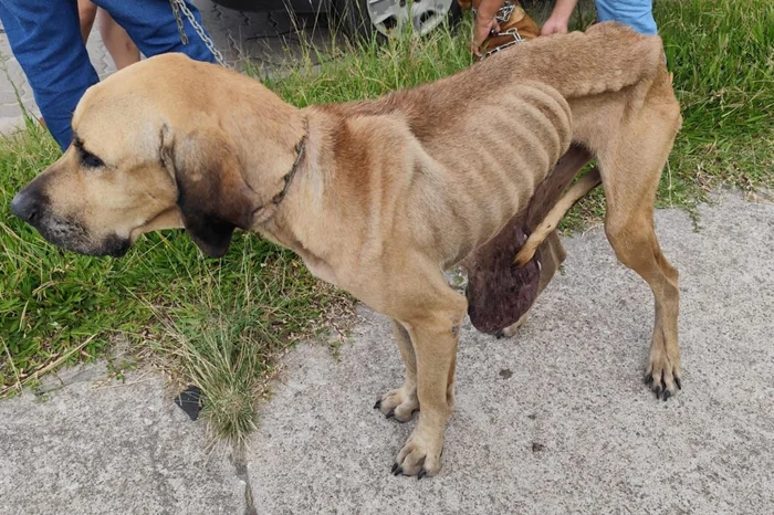 Divulgação / Polícia Civil Divulgação / Polícia Civil