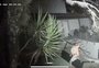 Moradores do bairro Chácara das Pedras relatam medo e insegurança diante de  frequentes arrombamentos a residências