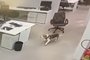 Cachorrinho correndo no escritório<!-- NICAID(14951845) -->