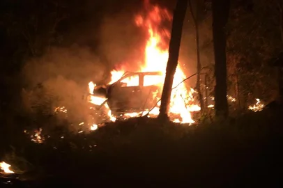 Motorista morre após veículo sair da pista e colidir em uma árvore na BR-392<!-- NICAID(15703983) -->
