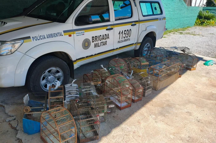 Patram Bento Gonçalves / Divulgação