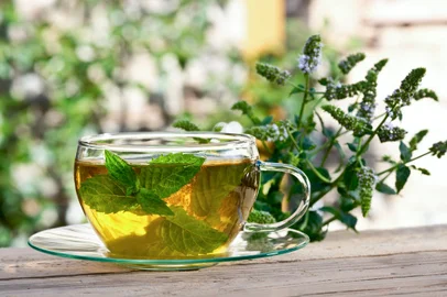 cup of tea with peppermint in the gardenFonte: 61901241<!-- NICAID(15537060) -->
