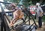 Evento reúne milhares de pessoas para lançar Porto Alegre como a Capital Mundial do Churrasco 