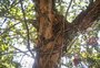 Não gostaria que Porto Alegre virasse um terreno baldio