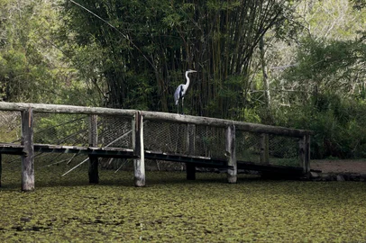 PORTO ALEGRE, RS, BRASIL, 13-04-2026: Com investimento de R$ 988.361,14, obras no Jardim Botânico começam neste mês. Telhado do prédio da administração e museu de ciências naturais serão reformados. (Foto: André Ávila/Agência RBS)Indexador: Andre Avila<!-- NICAID(16264936) -->