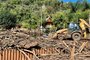 Bento Gonçalves contabiliza 315 casas levadas pela água e danificadas após enchente no Rio das Antas<!-- NICAID(15534224) -->
