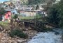 Por risco de queda, cinco araucárias são cortadas em Caxias do Sul