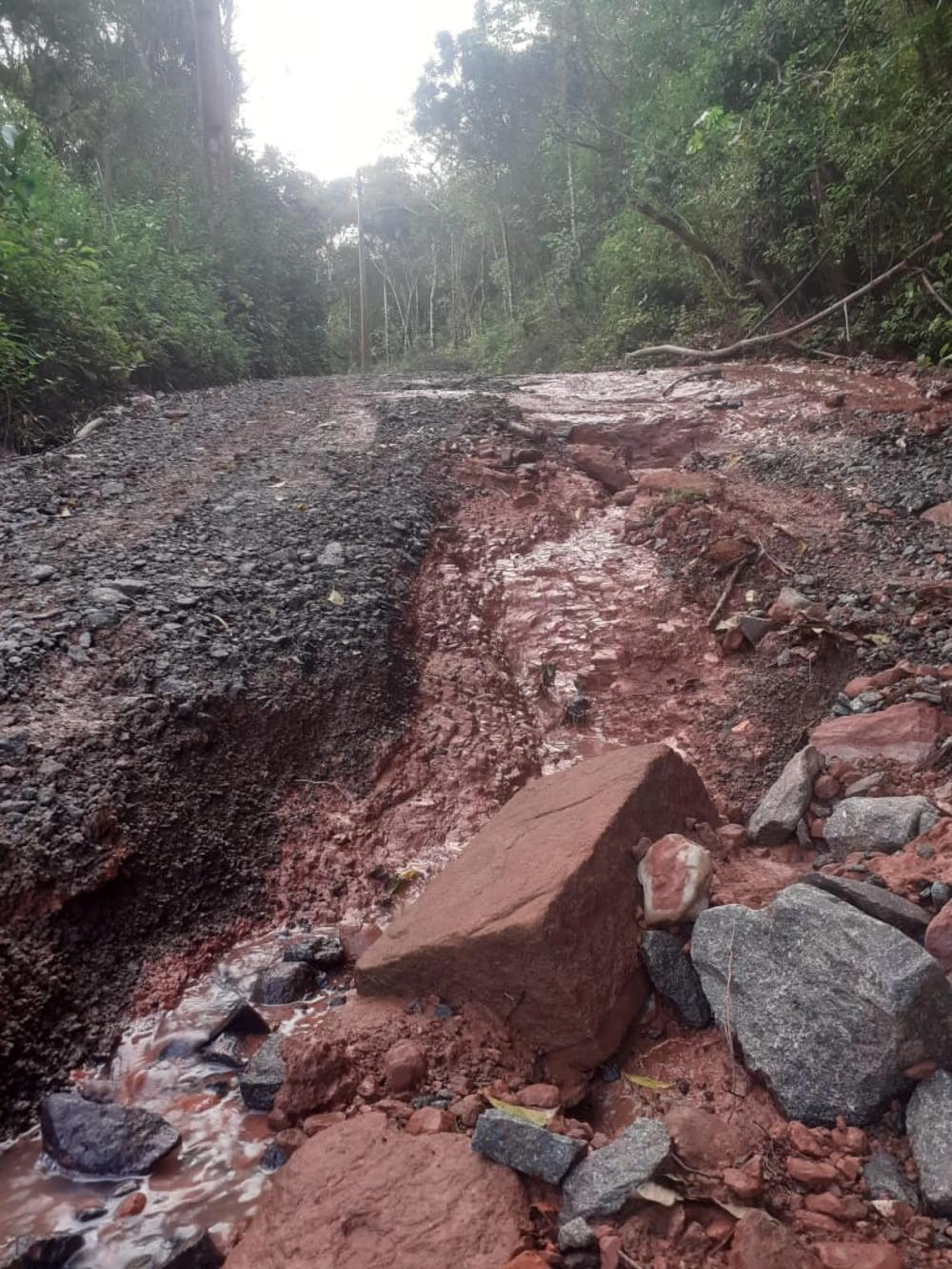 Arquivo pessoal/Arquivo pessoal
