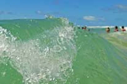zol - verão - praia - mar - transparente - litoral norte - 10/01/2011