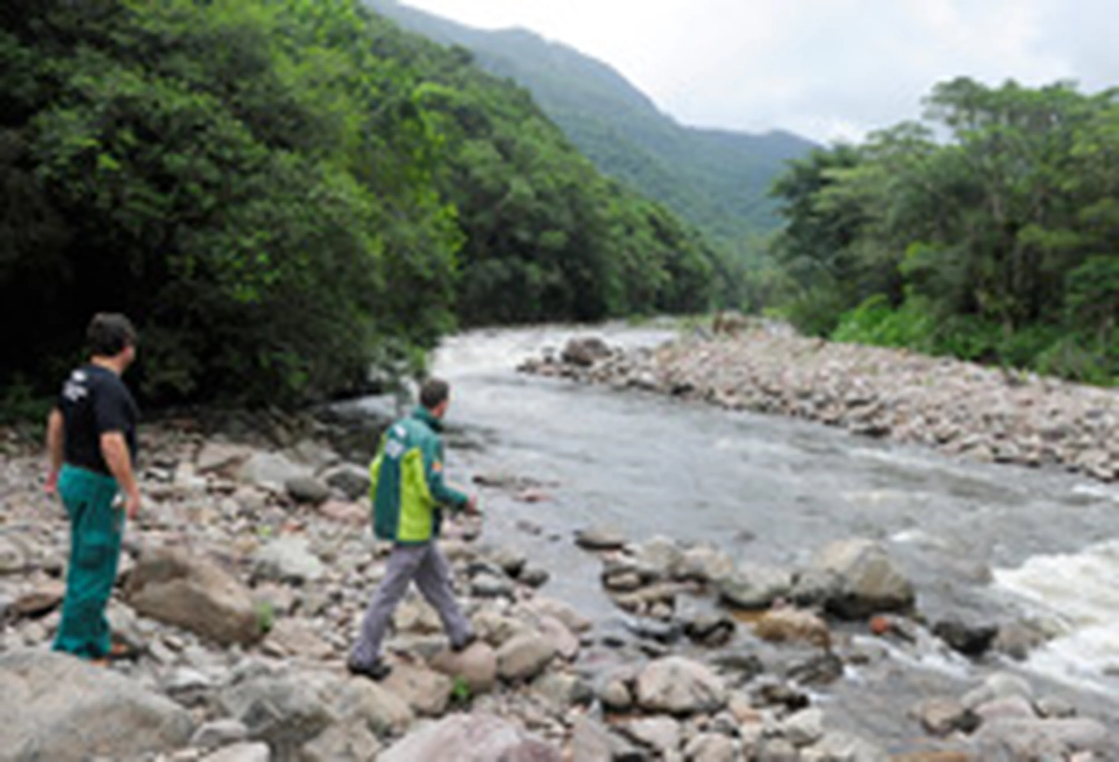 Ricardo Wolffenbüttel