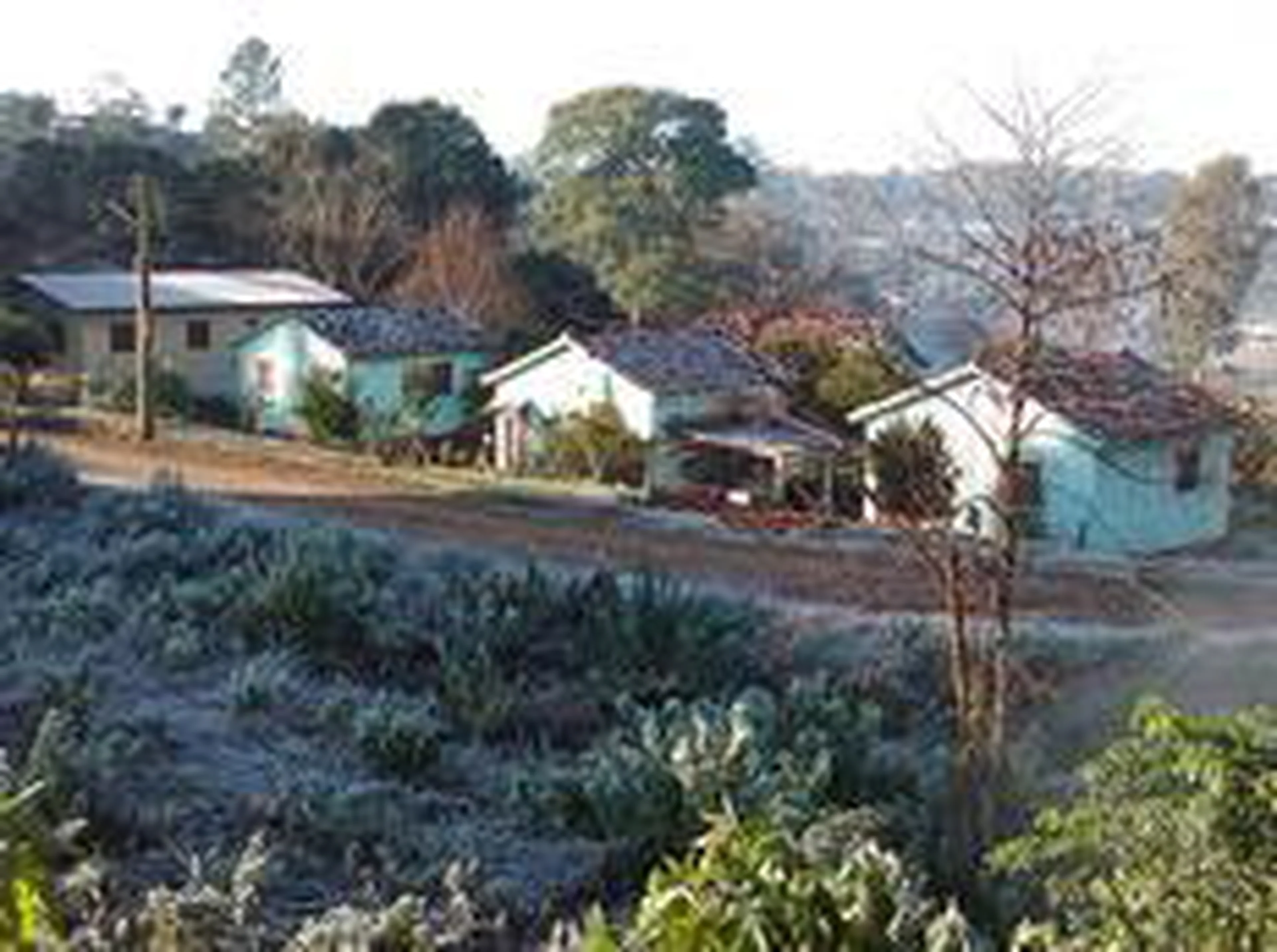 Deise Fröelich/Agencia RBS