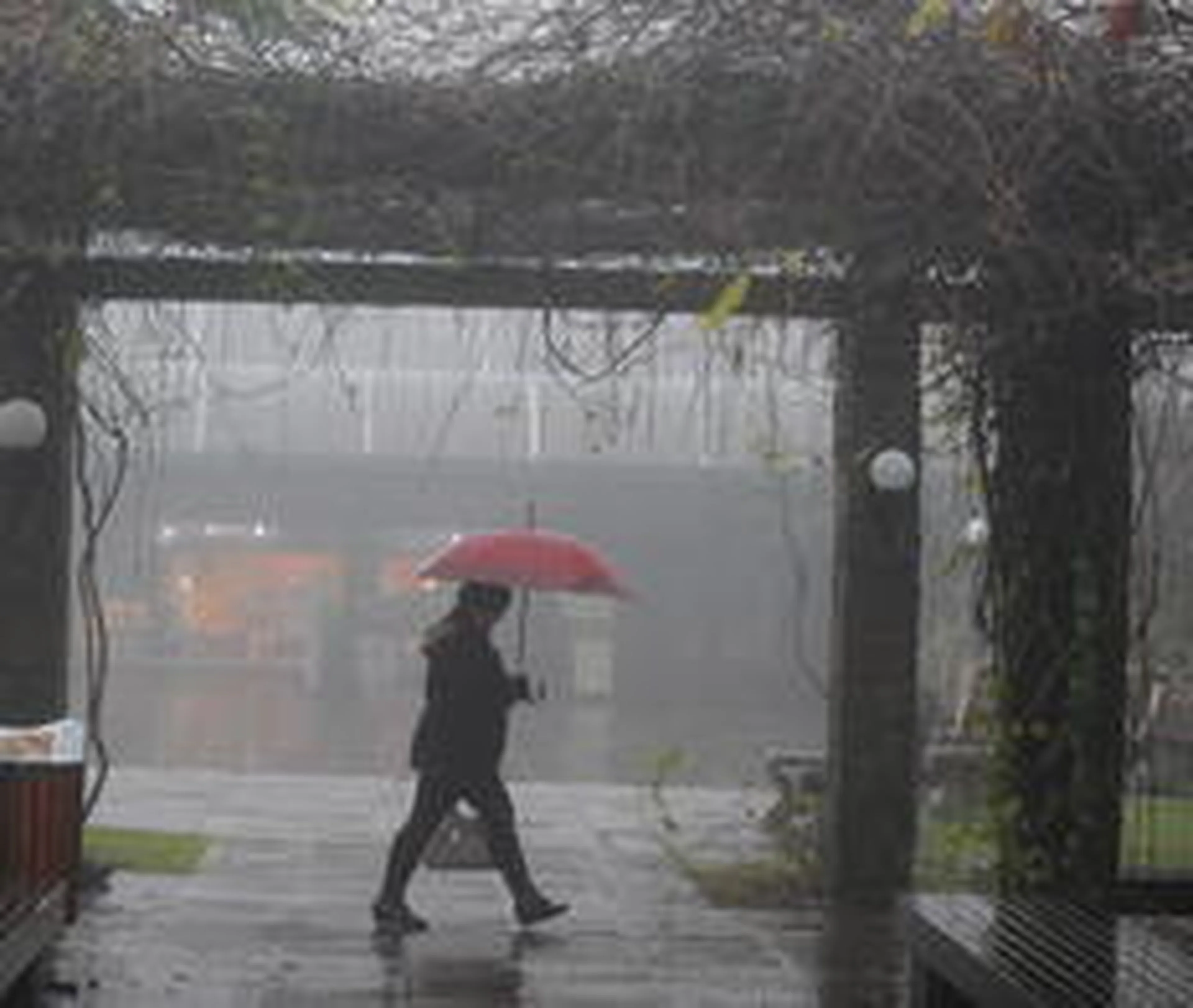 Ricardo Duarte/Agencia RBS