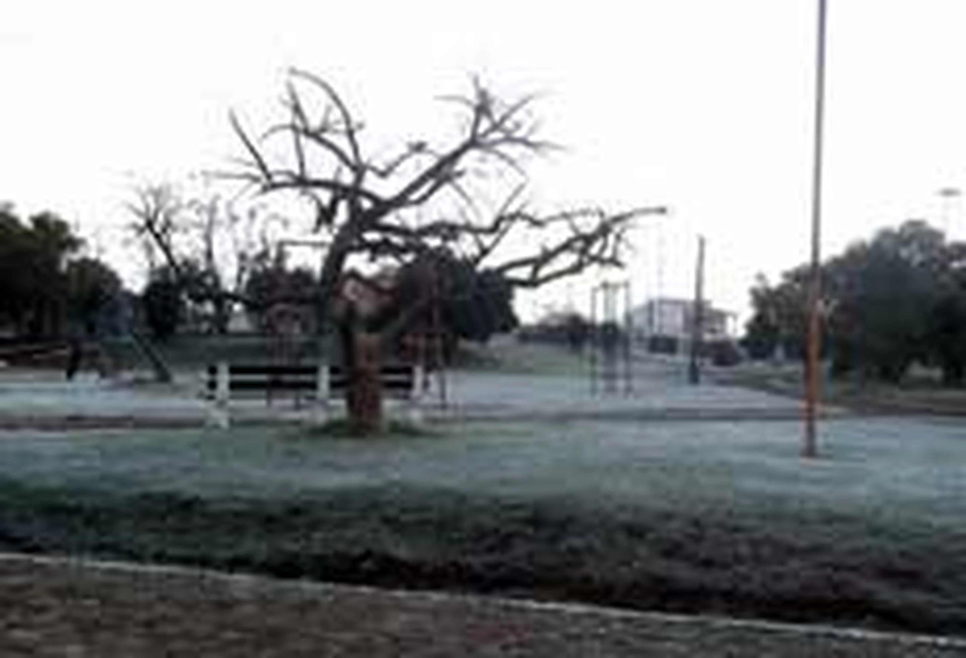 José Wanderlei Palma, Especial/null