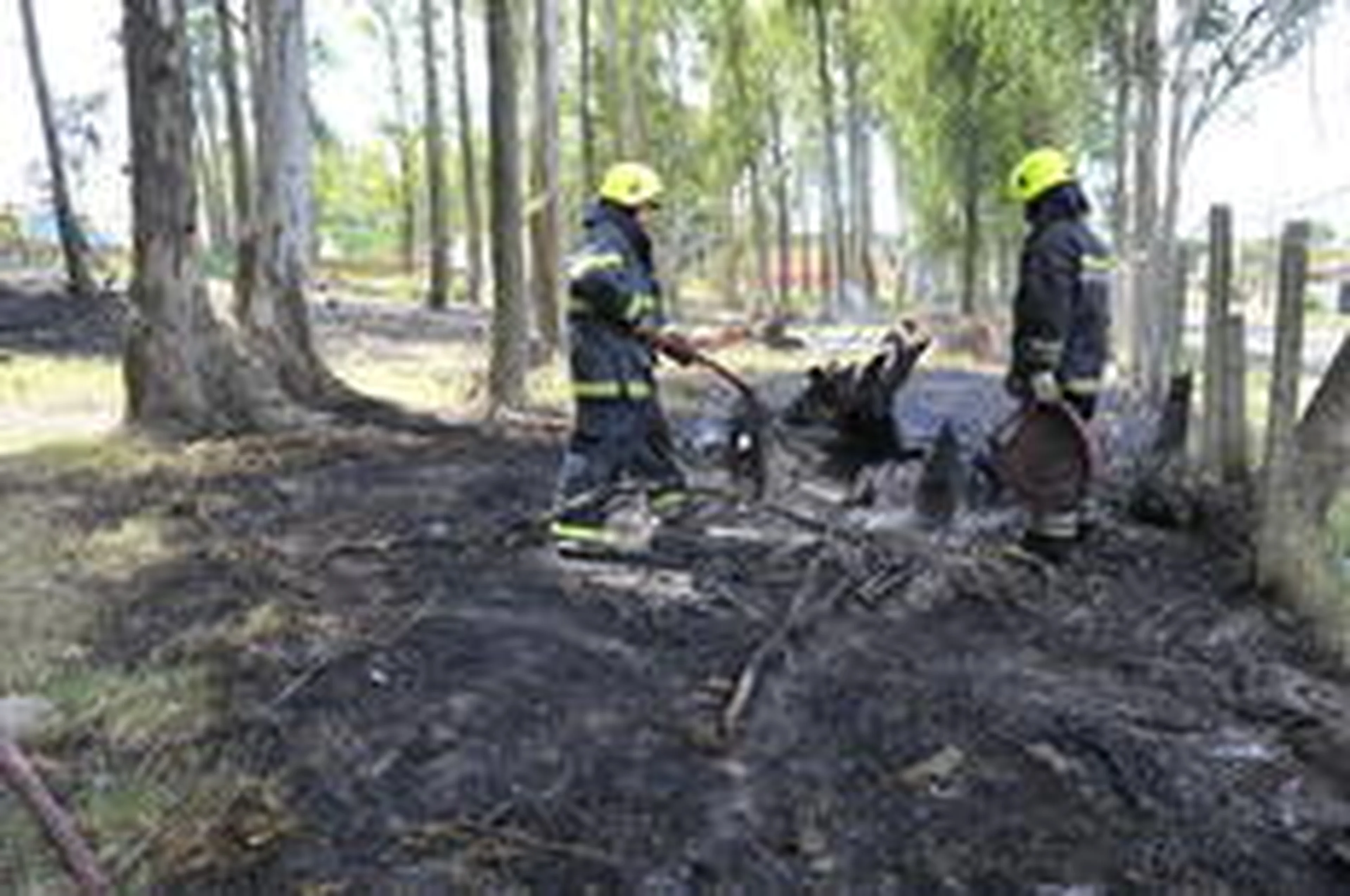 Genaro Joner/Agencia RBS