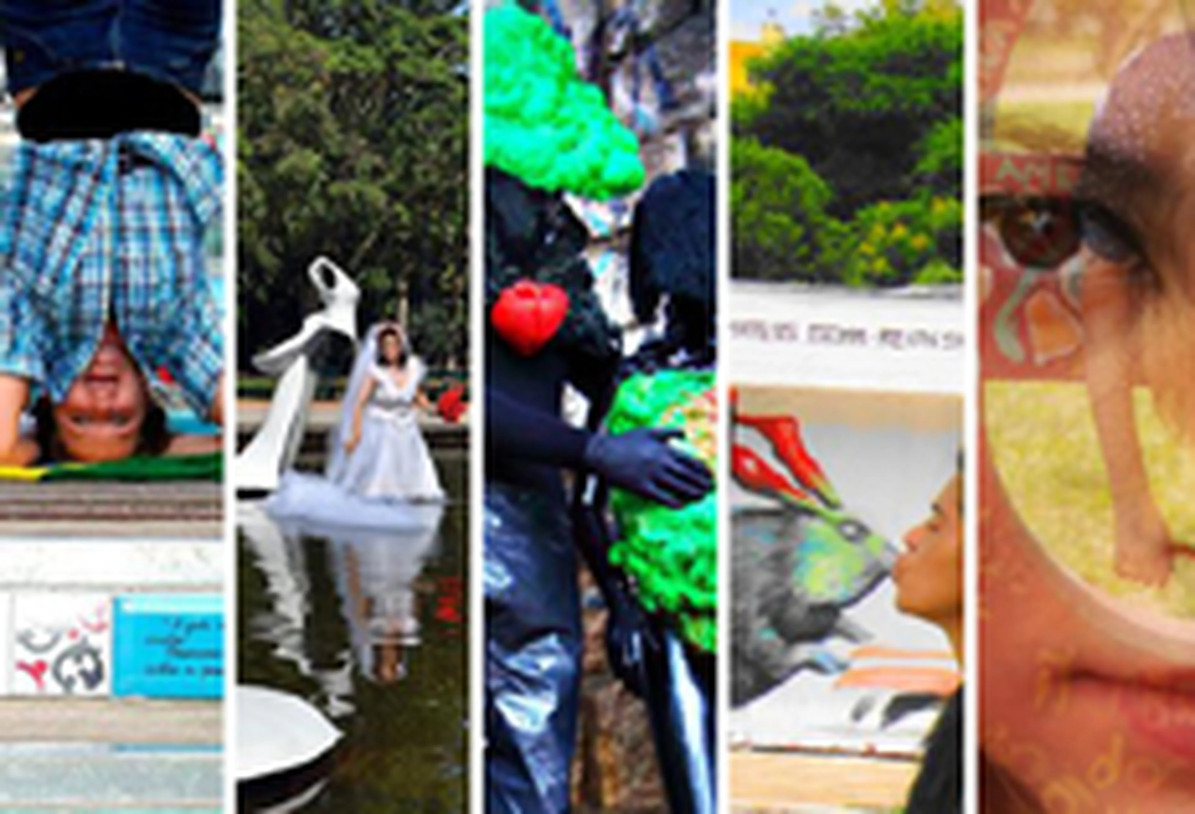 Montagem com fotos de Laura Marzullo dos Santos, Marco Antonio Hammermuller, Luciana Silva de Oliveira Andrade, Vinicius Albuquerque da Silva e Miguel do Canto Soll/null