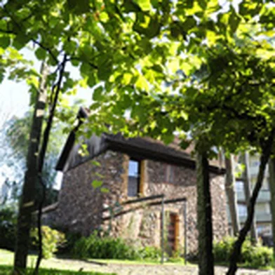 pio - museu - casa_de_pedra - poda - codeca - uvas