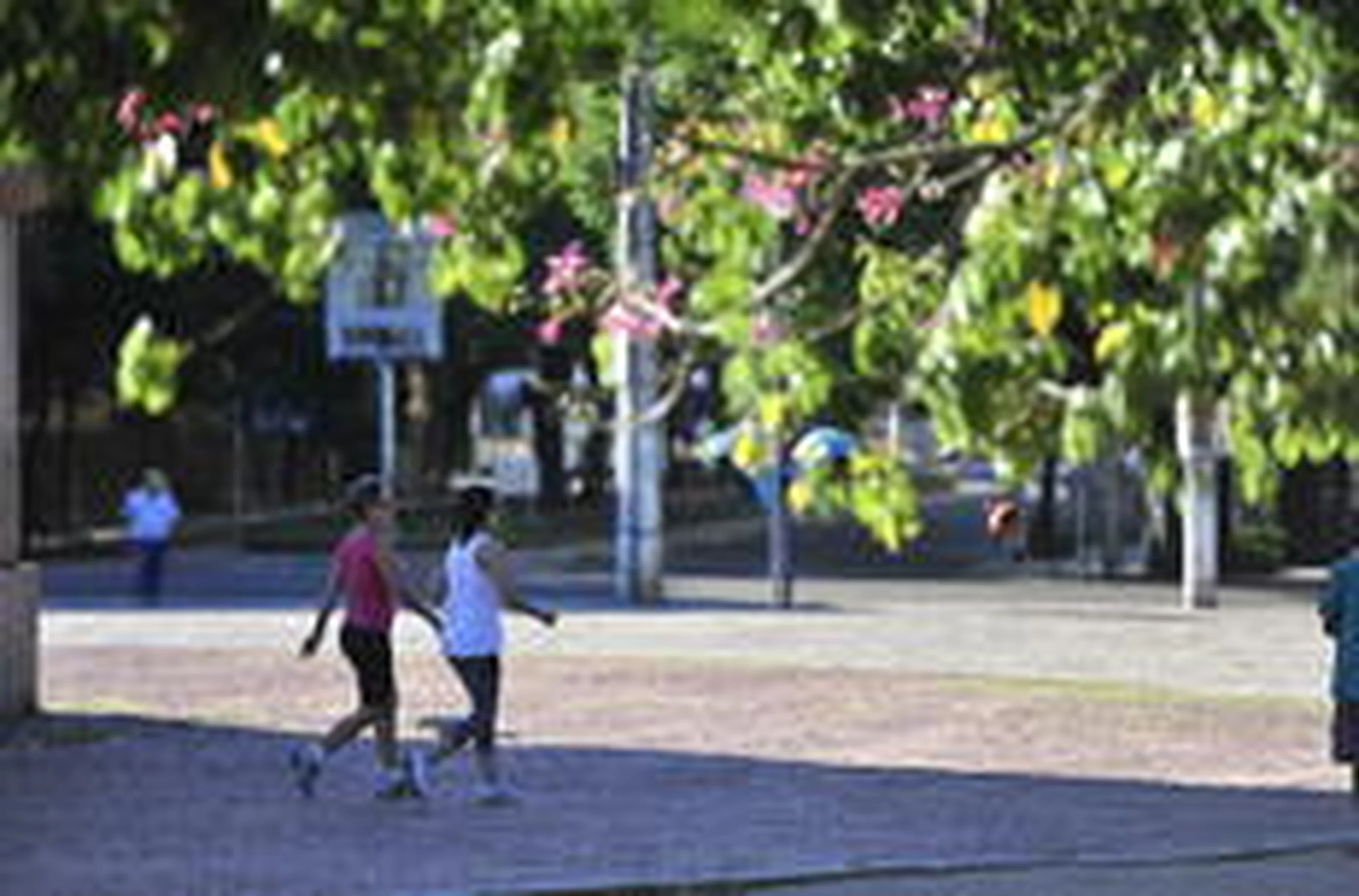 Lauro Alves/Agencia RBS