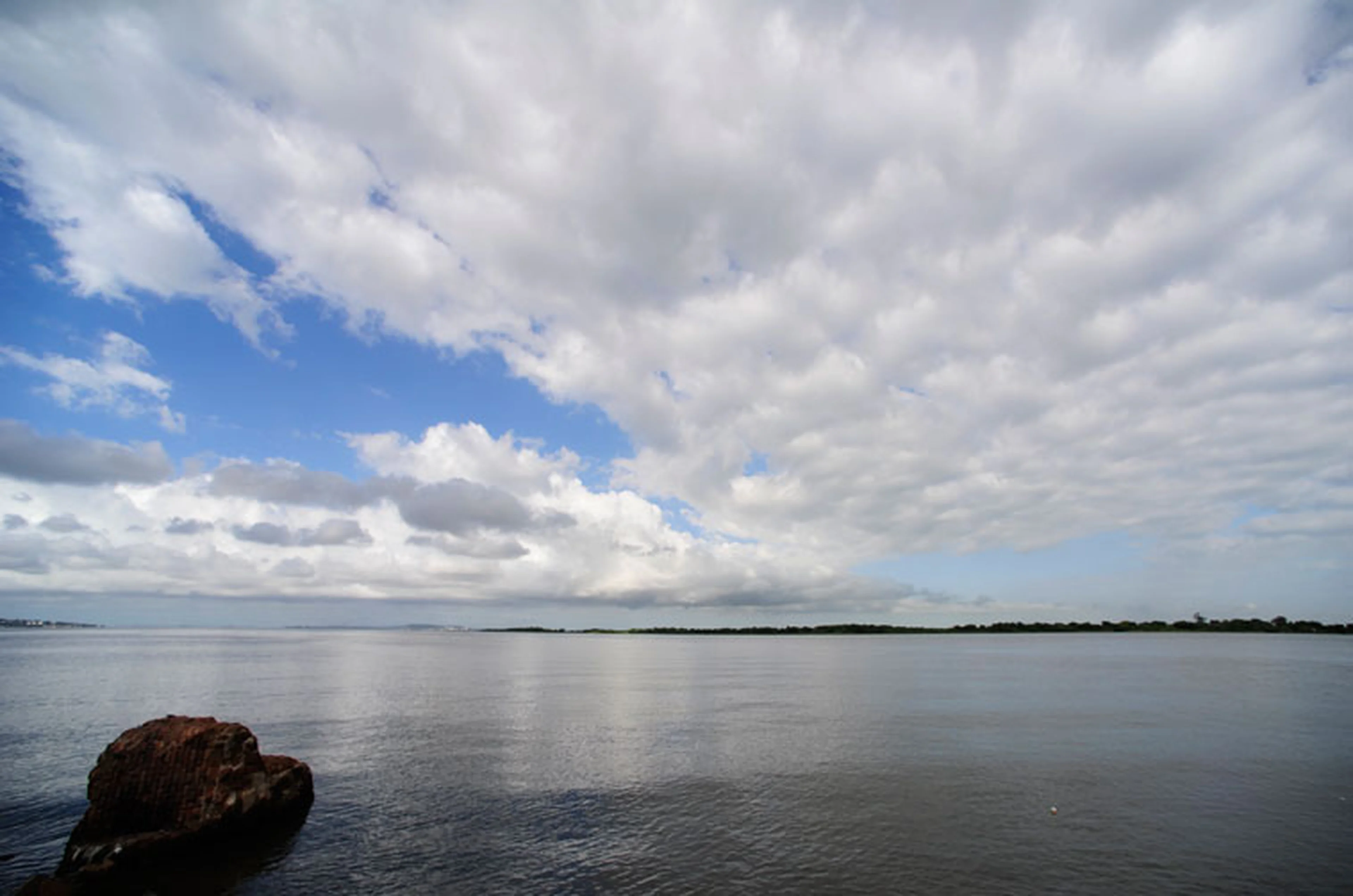 Ronaldo Bernardi/null