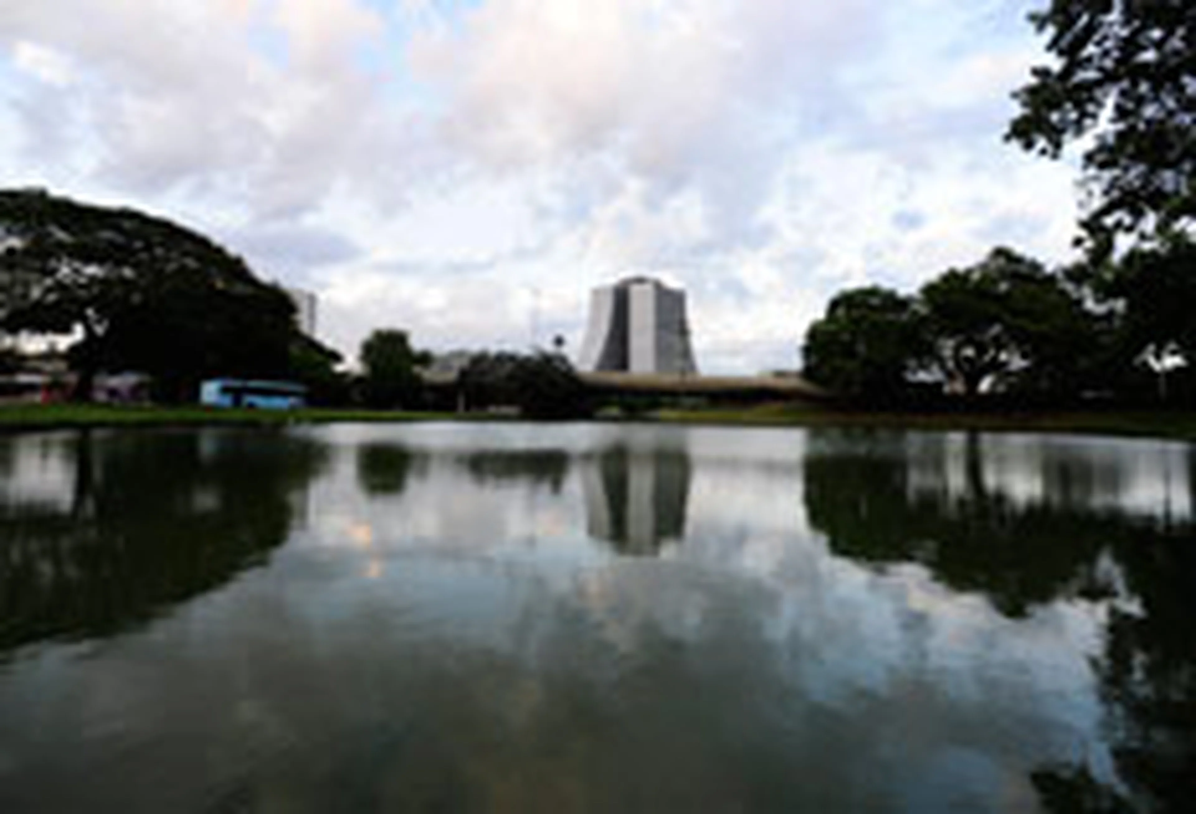 Ronaldo Bernardi/null