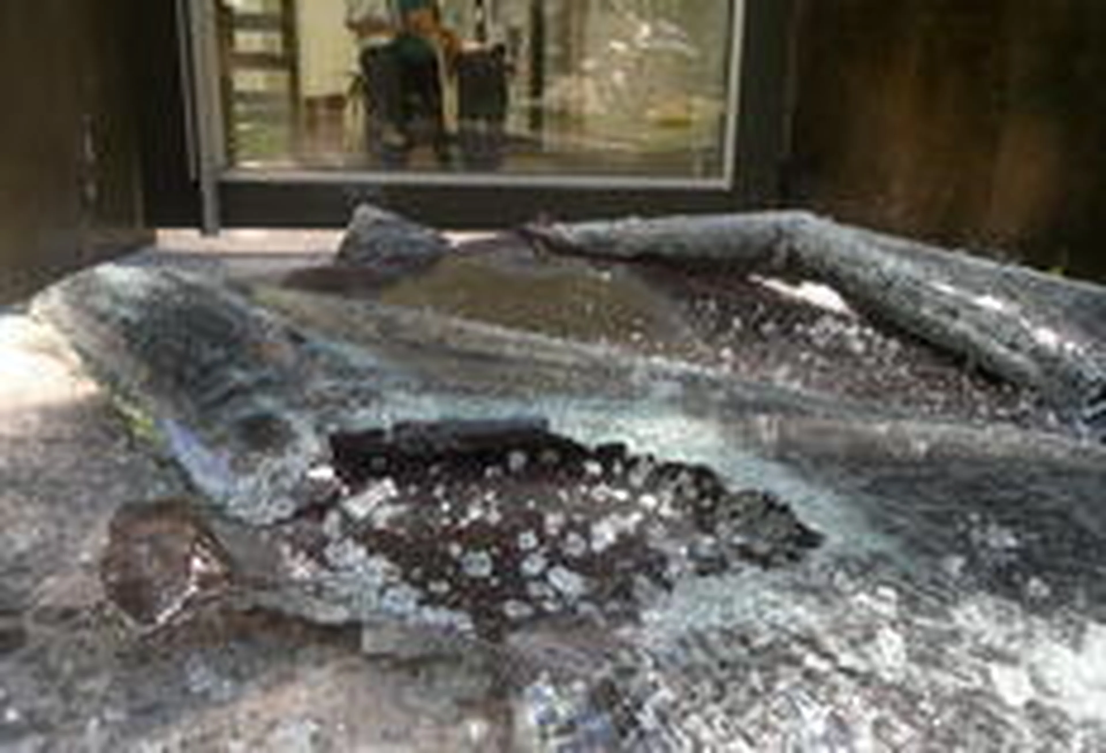 Mateus Bruxel/Agencia RBS