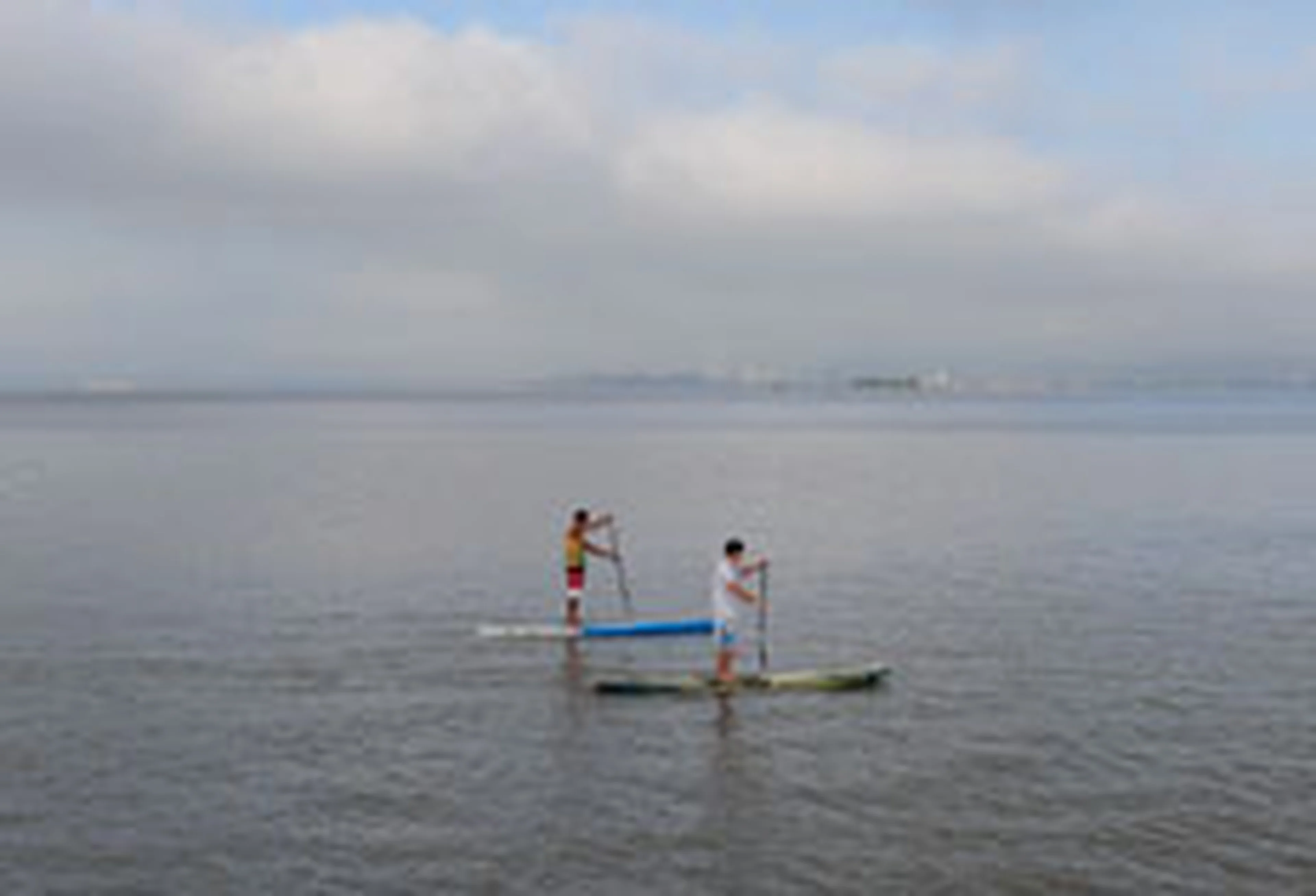 Ronaldo Bernardi/null