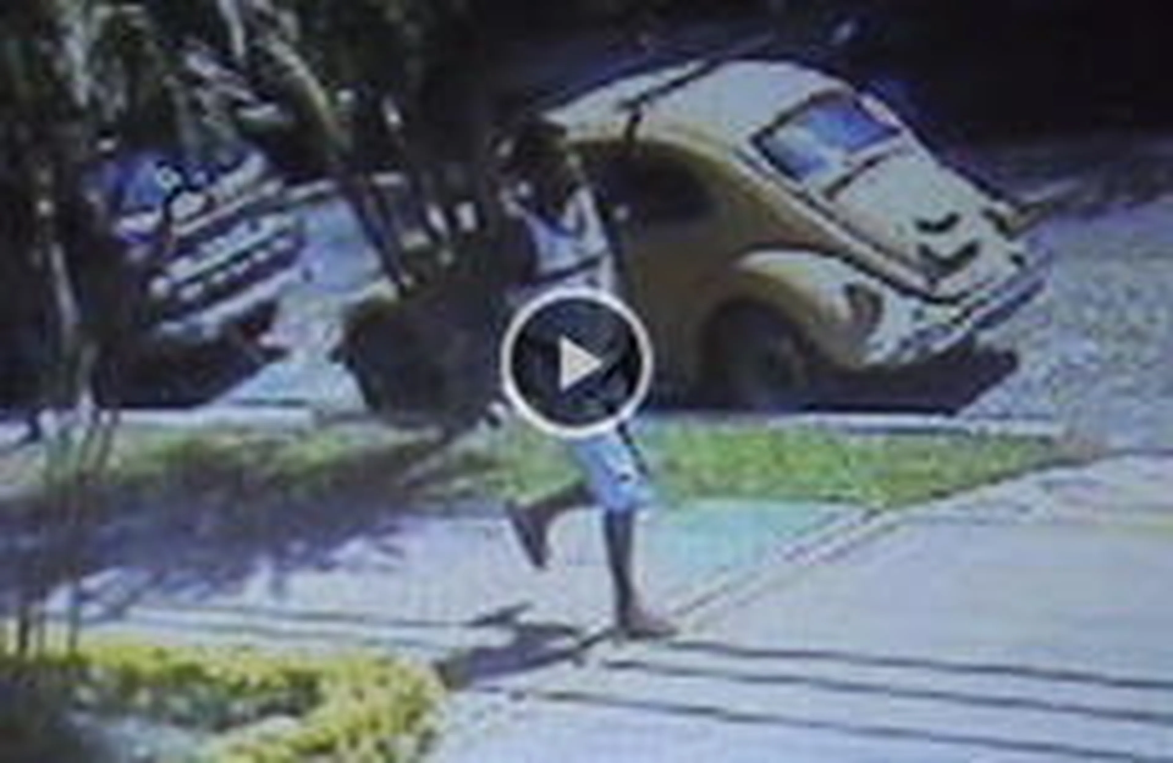 Reprodução/Reprodução