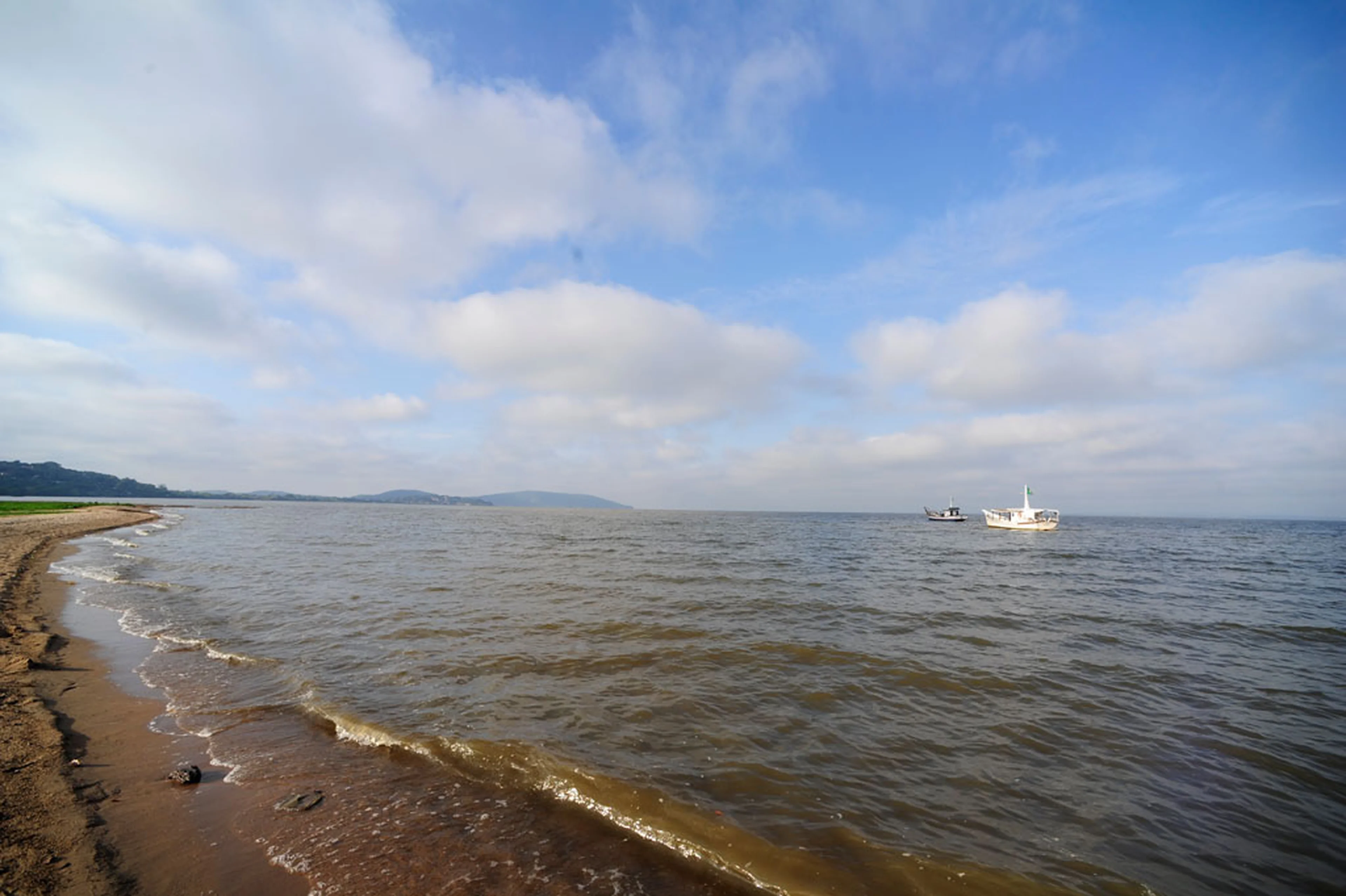 Ronaldo Bernardi/null