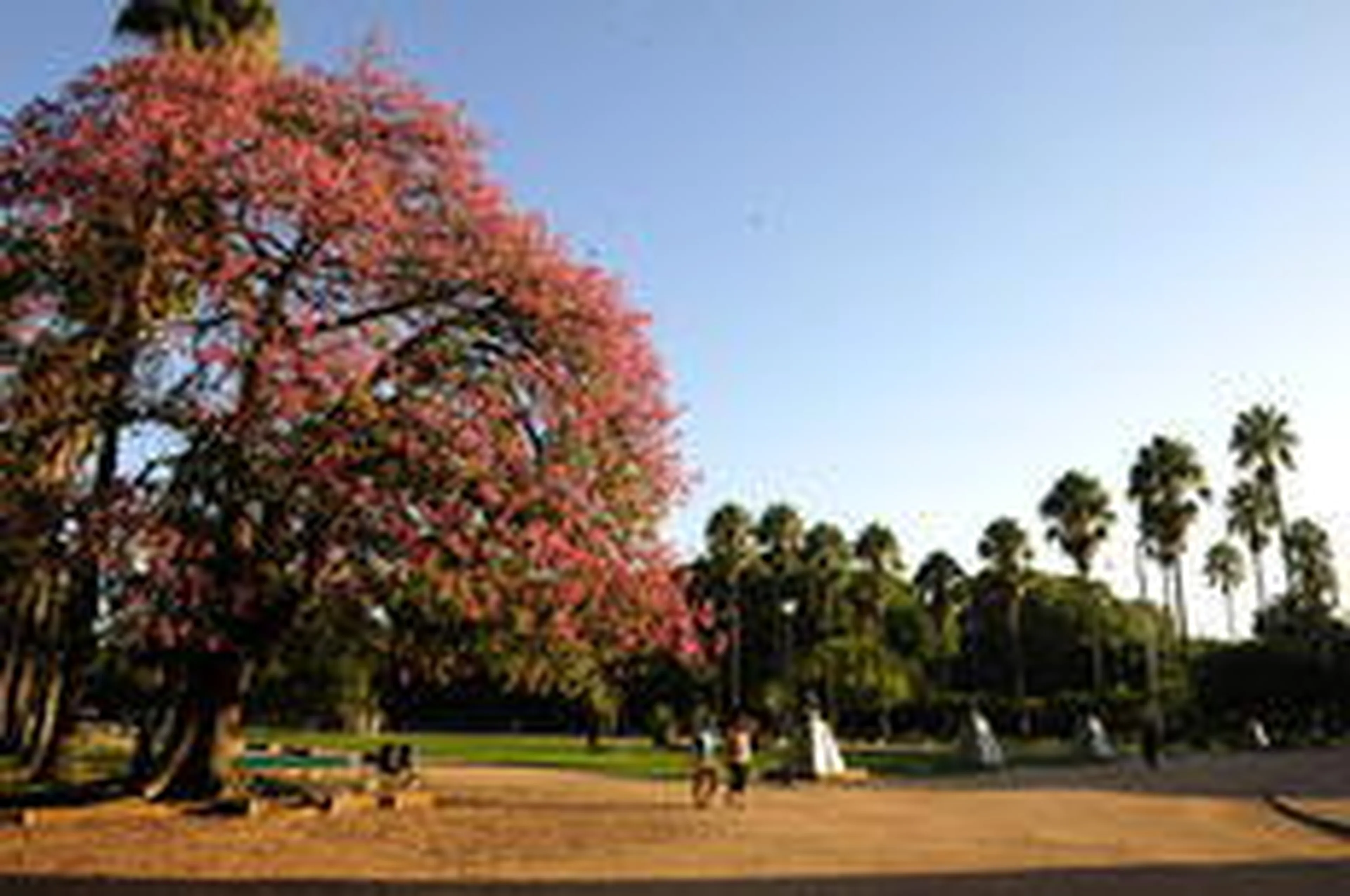 Ronaldo Bernardi/Agência RBS